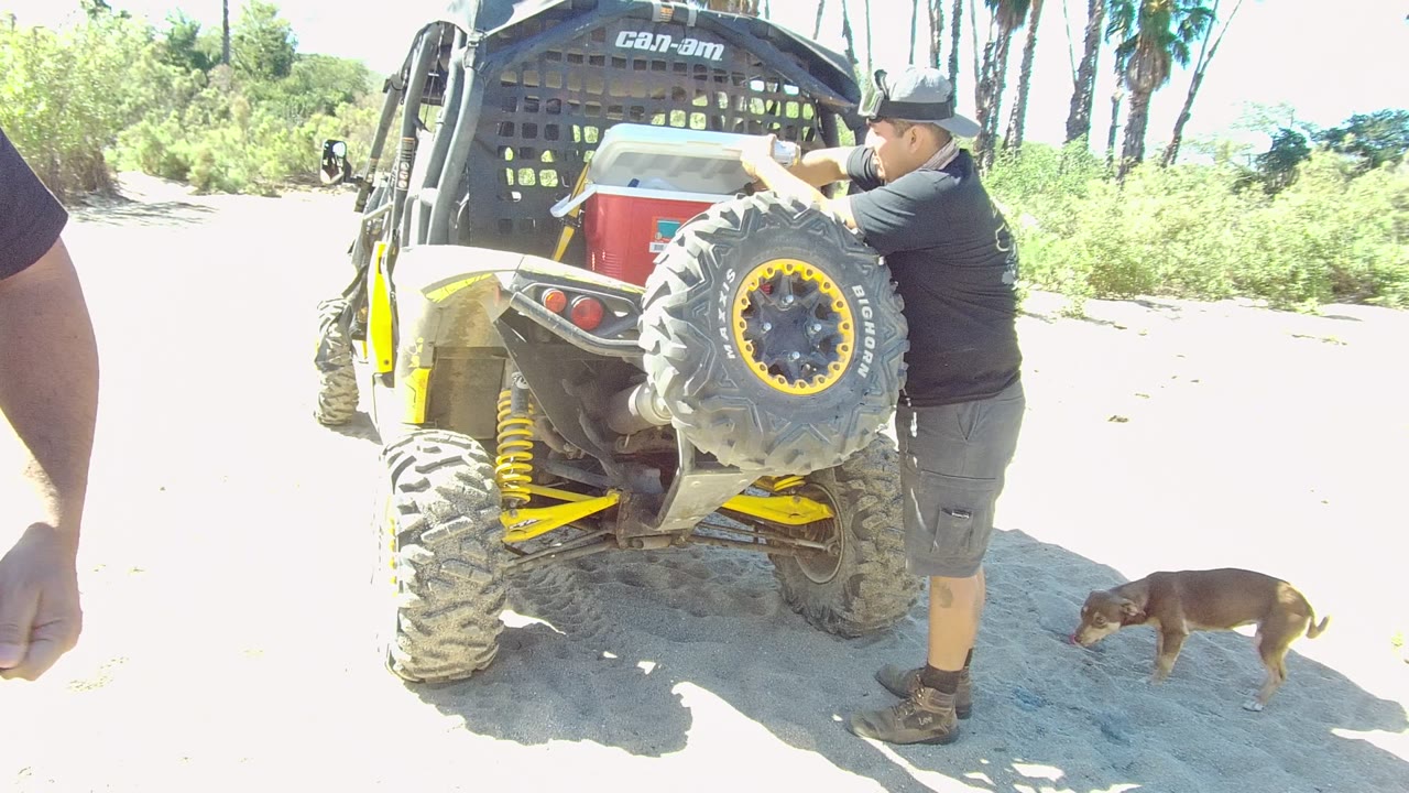 Man turned toward the rear of an off-road vehicle while a dog sniffs the sand.
