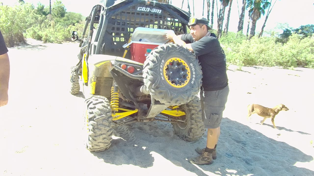Man at rear of off-road vehicle with a dog moving across sand.