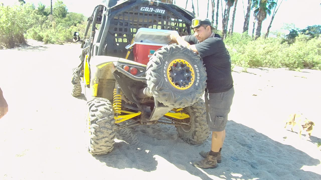 In Los Cabos, the rear of the off-road vehicle fills the left side while the man stands beside the spare tire and the dog reaches the right side of the sandy frame.
