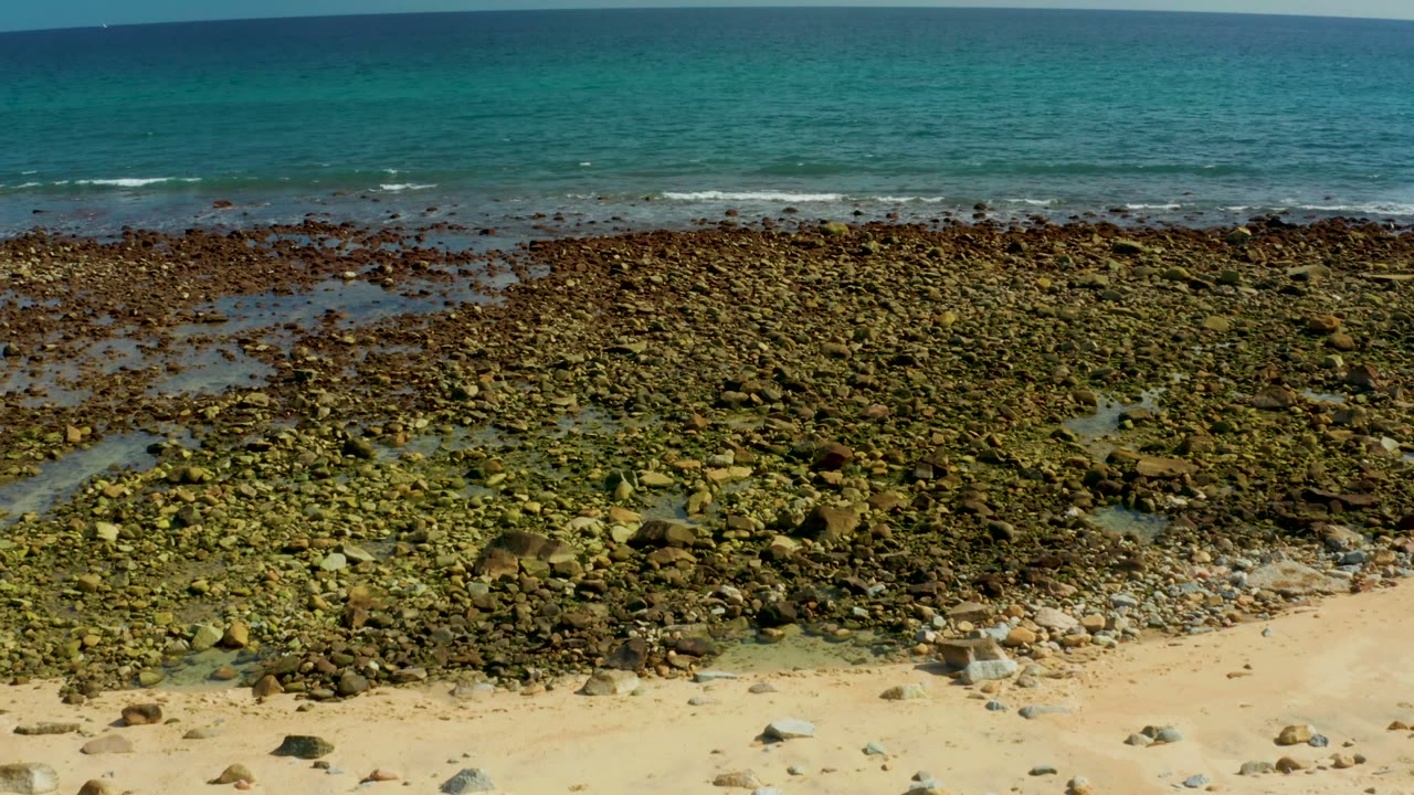El Tule Los Cabos rocky shoreline with green algae, pale sand at the lower edge, turquoise water beyond the surf line, and no visible people.