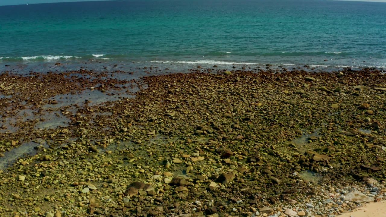 Algae rocks and shallow surf along the shore