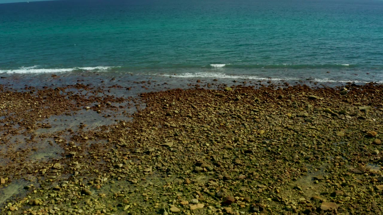 El Tule Los Cabos rocky coast stretches across the frame with mottled green algae, narrow wet channels, blue-turquoise ocean, and no visible people.