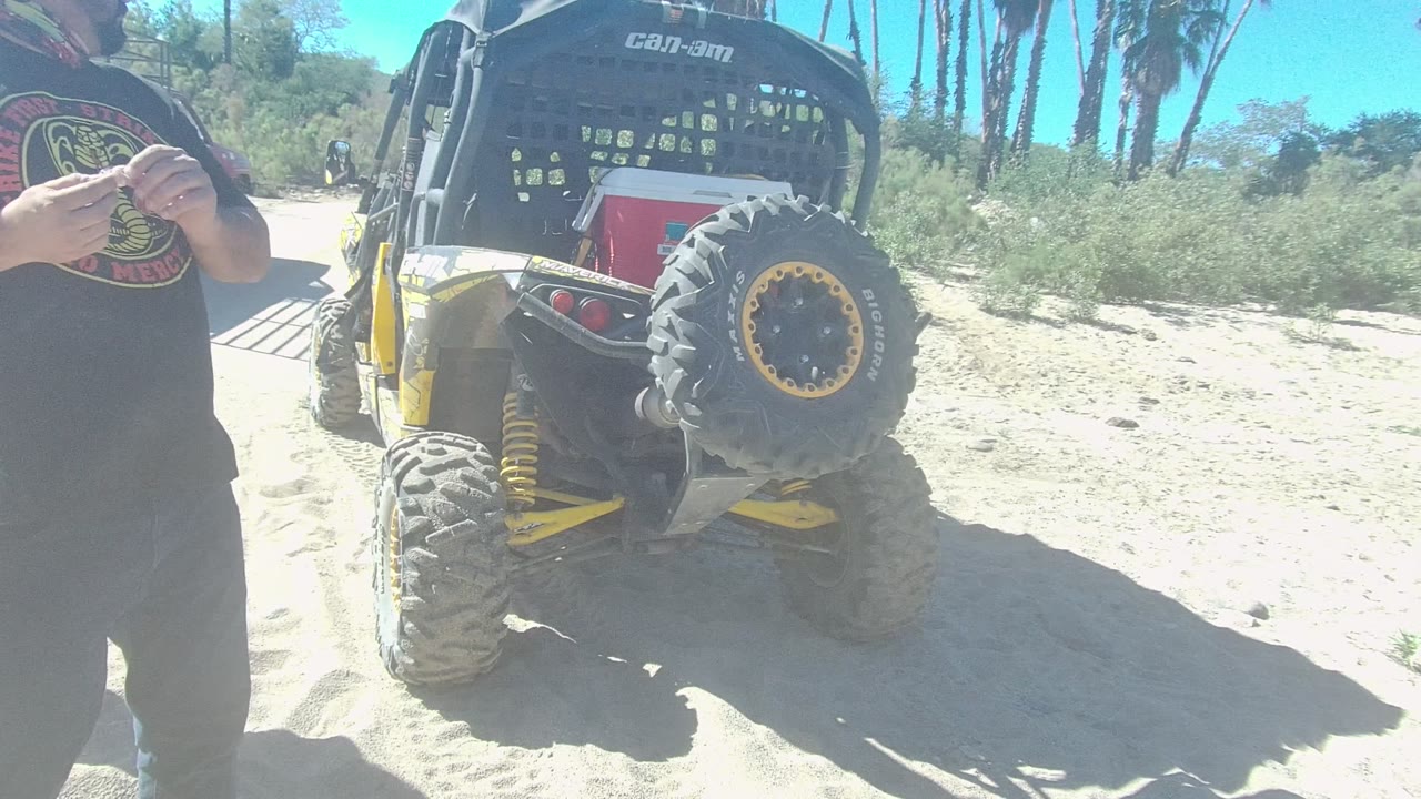 In Los Cabos, Baja California Sur, a person in a dark shirt stands near the rear of a black and yellow off-road vehicle on sandy ground with palms behind it.