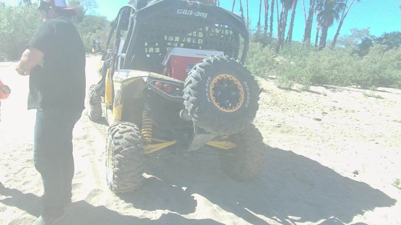 A man in a black shirt stands partly at the left edge beside the rear of a yellow and black dune buggy in Los Cabos, with sand, scrub vegetation, and blue sky visible.