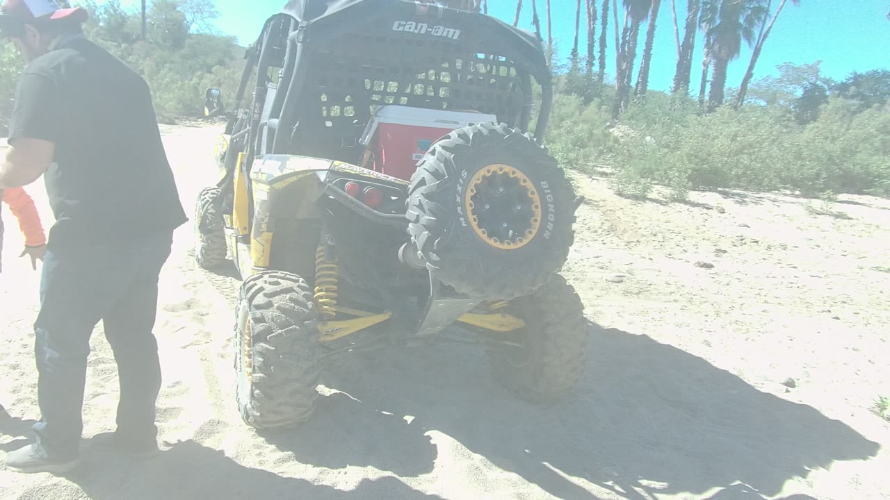 Man near yellow and black dune buggy under bright sun