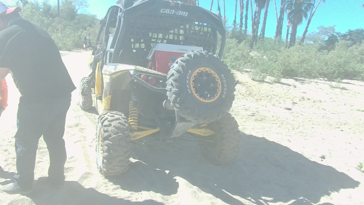 A man bends slightly beside the rear of the yellow and black dune buggy in Los Cabos, while the spare tire, roll cage, sandy surface, and shrubs remain prominent.
