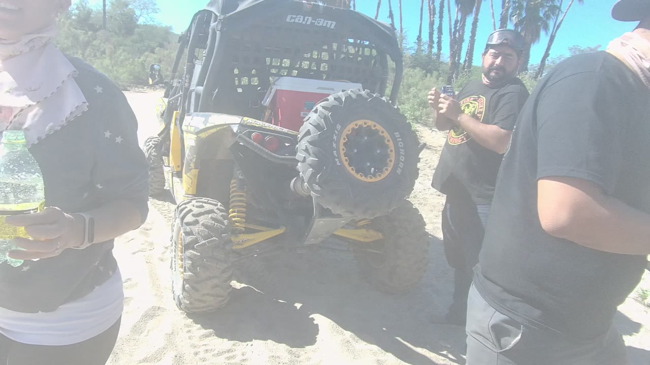 In Los Cabos, Baja California Sur, adults stand close to the rear of a yellow and black dune buggy on bright sand, with one person partly cropped in the foreground.