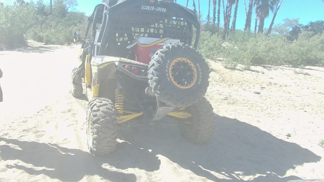 The rear of a yellow and black dune buggy fills the frame on bright sand in Los Cabos, Mexico, with no visible people in this moment.