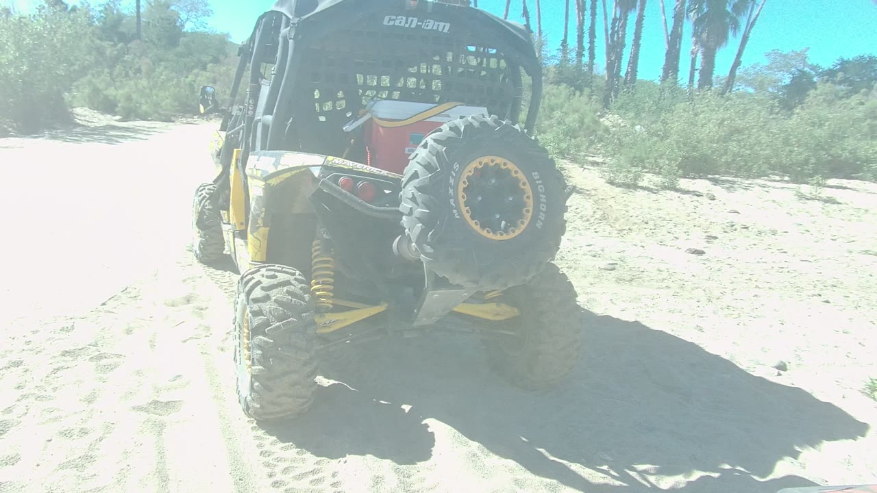 Rear view of a yellow and black dune buggy parked on a sandy path in Los Cabos, Mexico, with brush, palm trees, bright sun, and no visible people.
