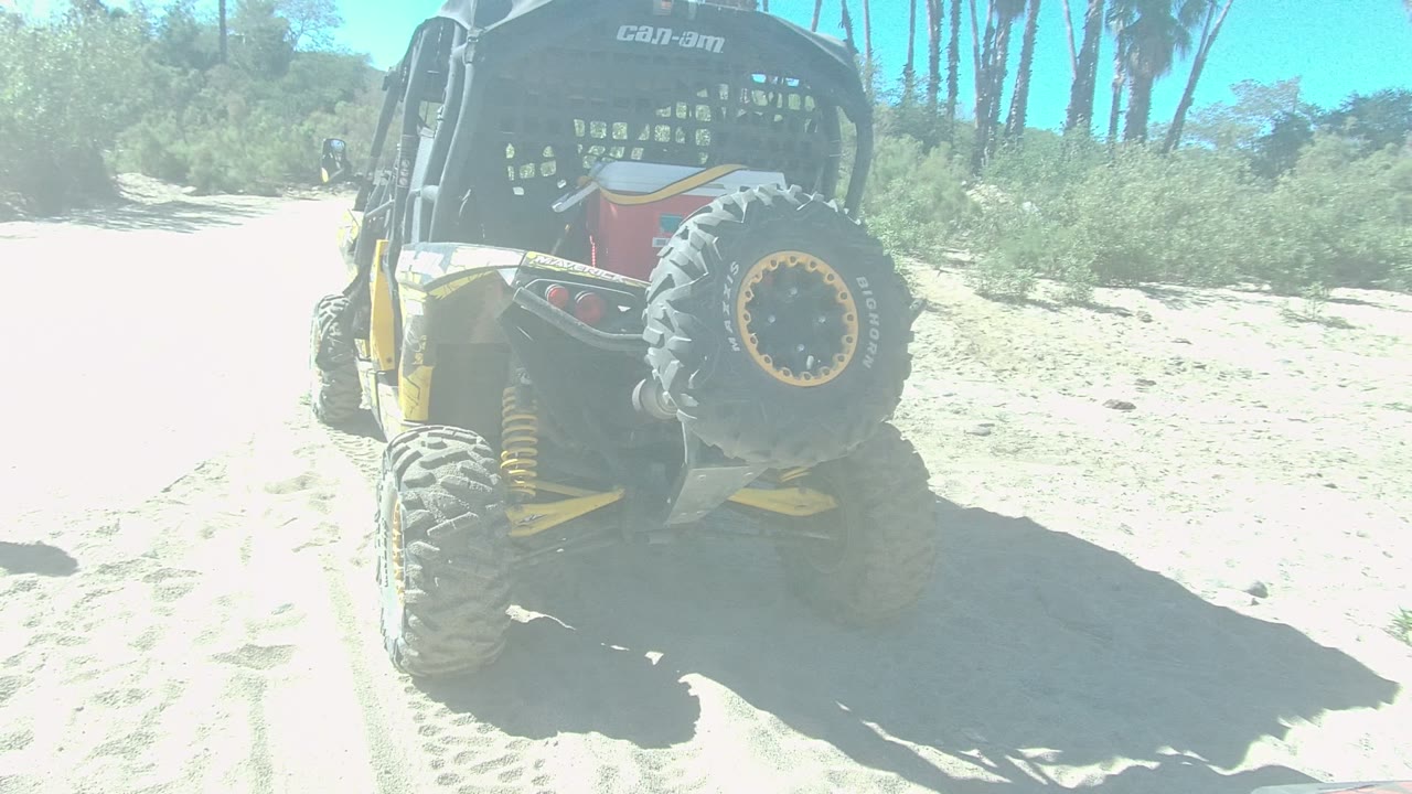 Rear-left view of a yellow and black off-road vehicle parked on a sandy trail in Los Cabos, Mexico, with a spare tire, palm trees, and no visible people.