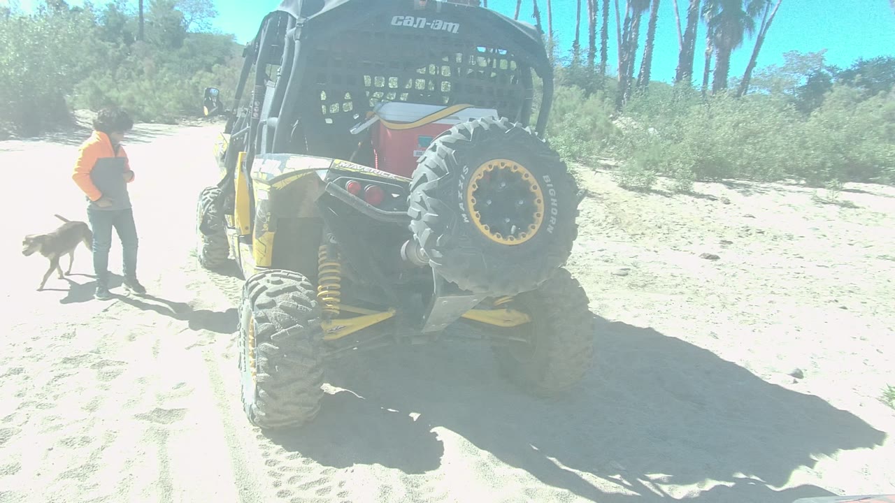 At 0:00 in Los Cabos, a person in an orange shirt stands on bright sand near a yellow and black dune buggy while a dark dog is still beside them.