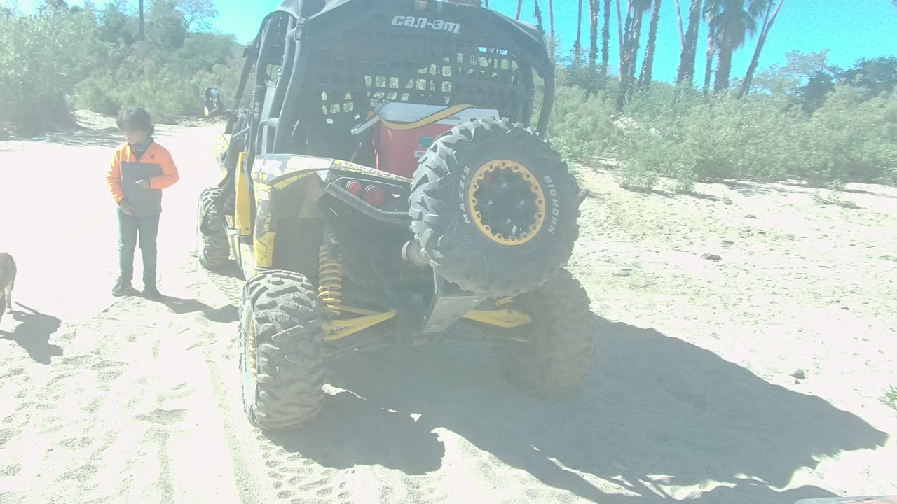 Dog walking away from person near parked dune buggy.