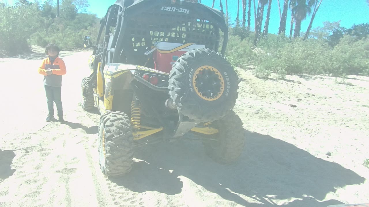 At 0:02 in Los Cabos, the person stands with hands near their front beside the rear of the dune buggy, with the dog no longer prominent in the frame.