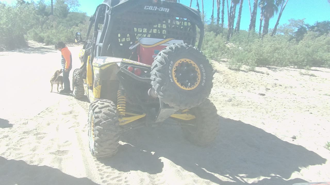 At the start of the Los Cabos clip, a person in an orange shirt bends toward a small dog beside the rear of a yellow and black off-road vehicle on a sandy path.
