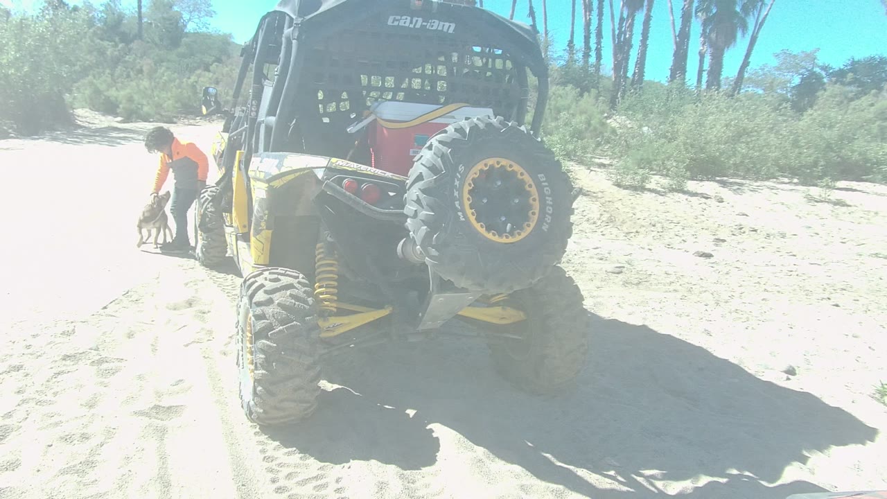 Person holding or guiding a small dog near the rear of an off-road vehicle.