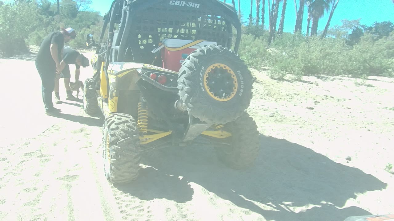 A yellow off-road vehicle is parked on sandy terrain in Los Cabos, Baja California Sur while a man bends near its side and a dog stands close by.