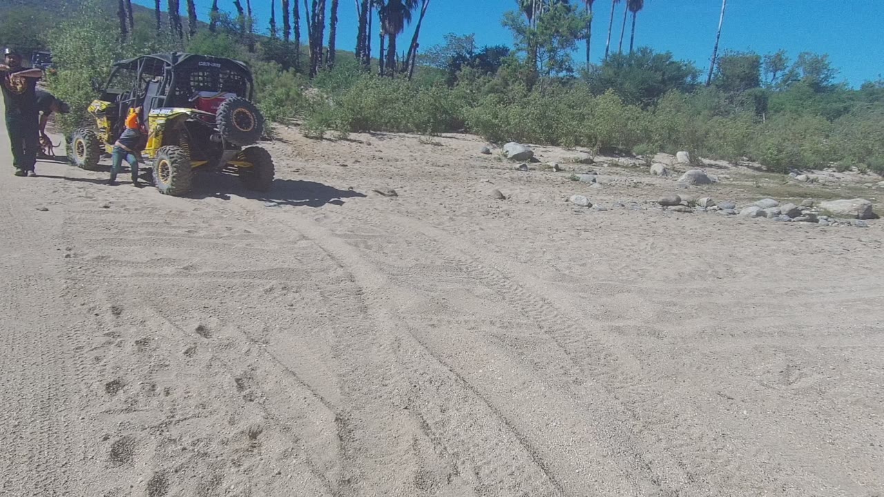 A person stands near a yellow UTV on the right side of a sandy Los Cabos trail, with tire-marked dirt, scattered rocks, shrubs, palms, and a clear sky behind them.