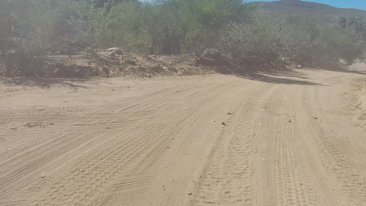 Sandy dirt road in Los Cabos, Baja California Sur, bordered by dry bushes and low banks under bright sun, with no visible people.