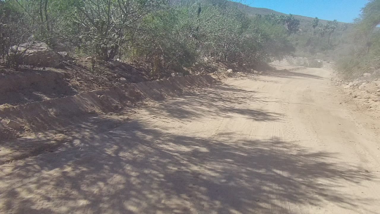 Dusty road ahead with shrub shadows across the sand.