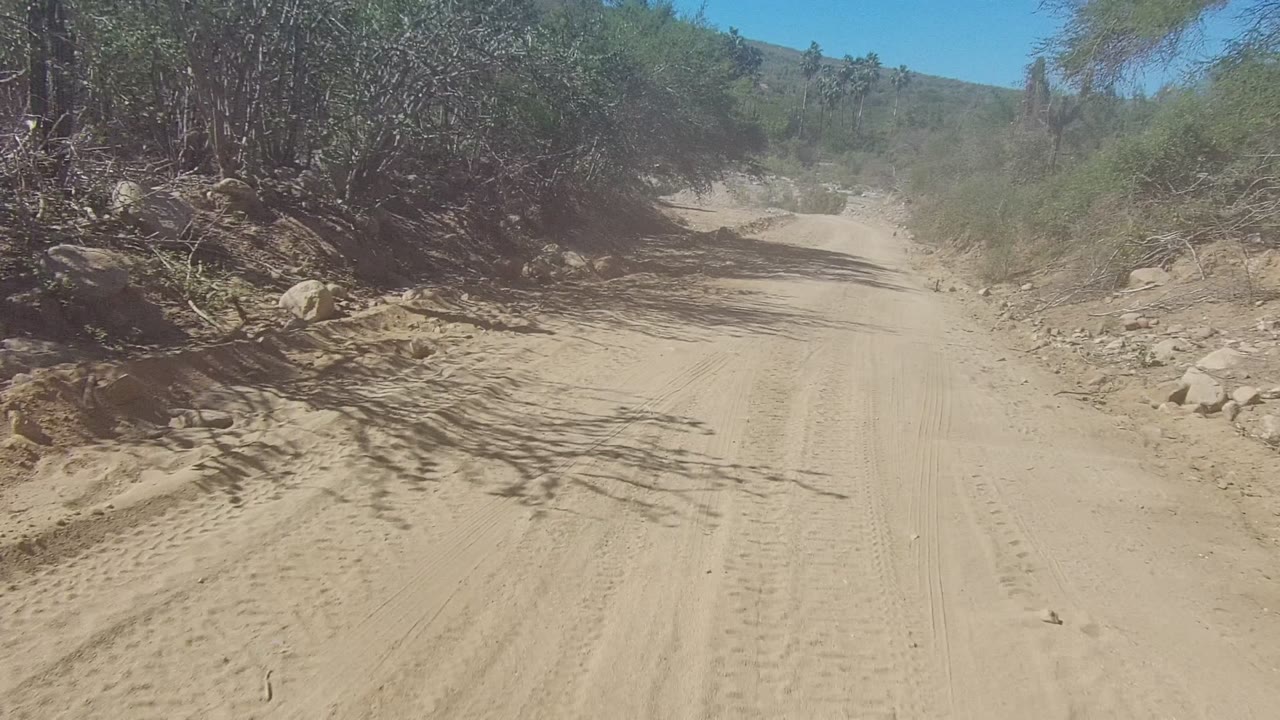 A sandy backroad in Los Cabos passes close to dense dry brush on the right and scattered rocks along the roadside, with no visible people.