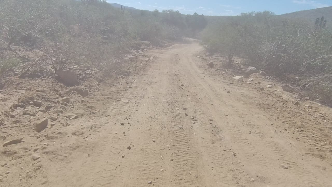 Sandy dirt road in Los Cabos, Baja California Sur curving left through dry shrubs and small trees, with no visible people.