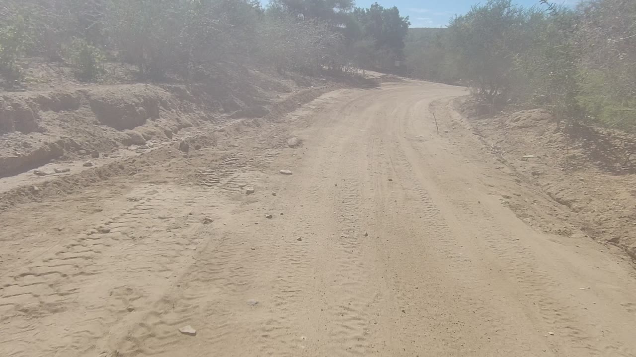 Wide sandy road in Los Cabos bending right past low desert brush, scattered rocks, pale soil, and no visible people.