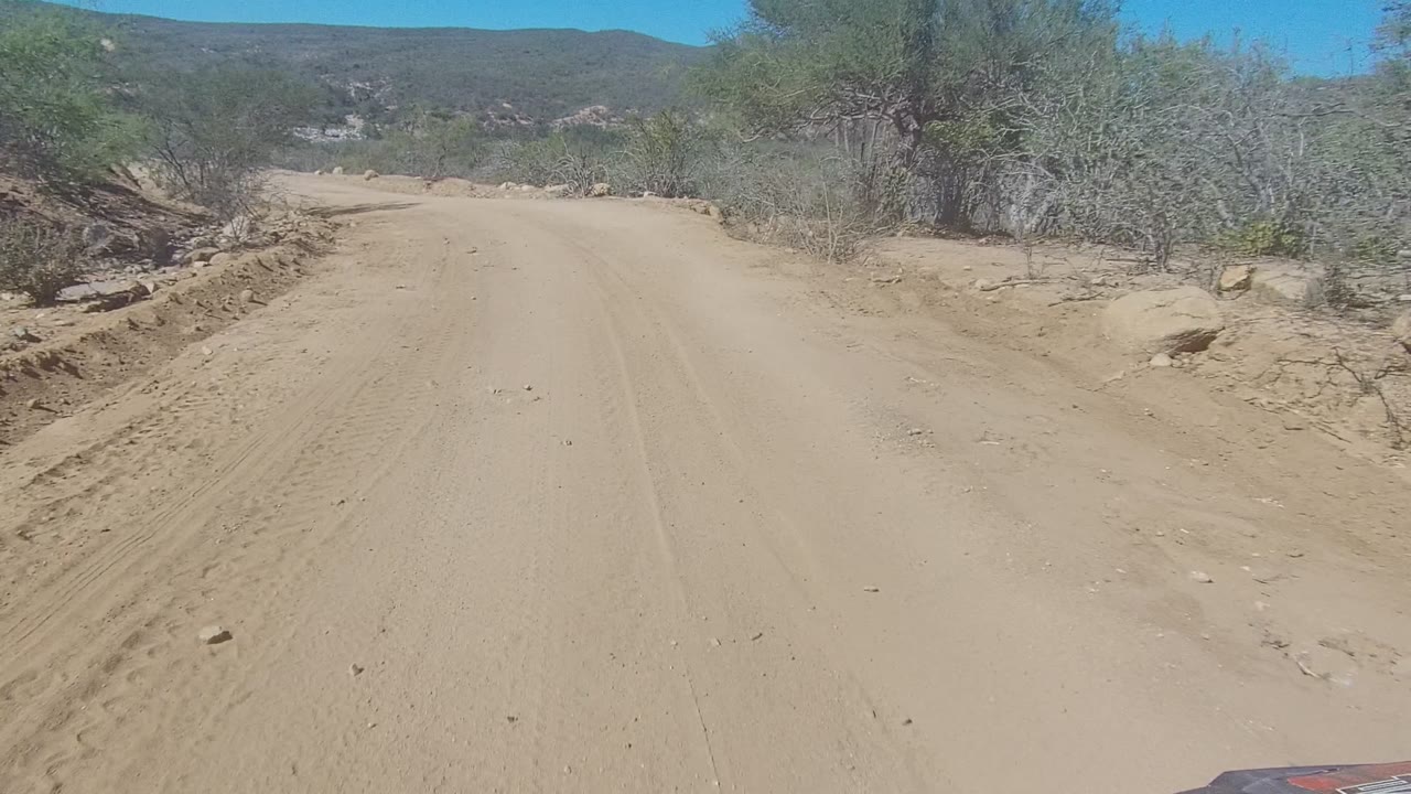 A tan dirt road in Los Cabos, Baja California Sur runs ahead between dry shrubs and scattered rocks under a clear blue sky, with no visible people.