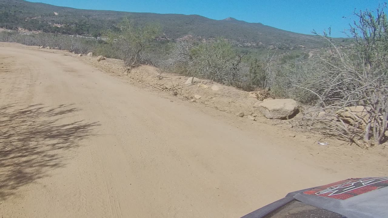 A sandy vehicle track in Los Cabos fills the lower frame, with a small vehicle hood edge visible, brush shadows crossing the road, and no visible people.