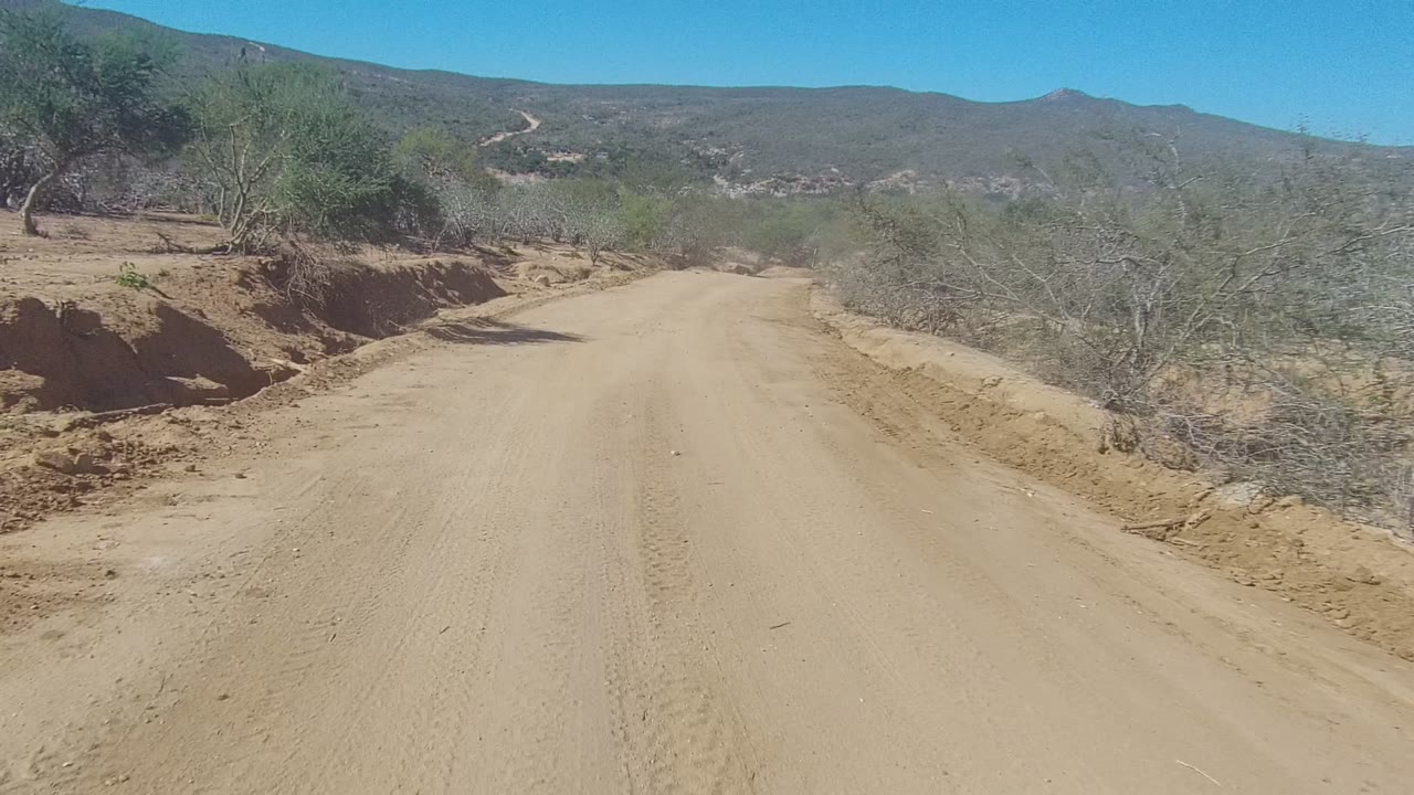 A sandy dirt road in Los Cabos, Baja California Sur runs between dry scrub and small trees toward distant hills under a clear blue sky, with no visible people.