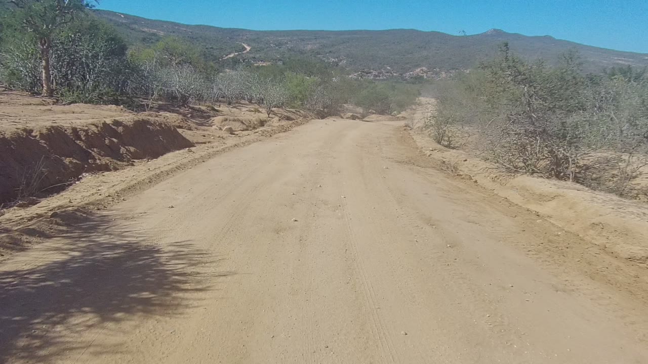 Dusty road bordered by trees and eroded sandy shoulders.
