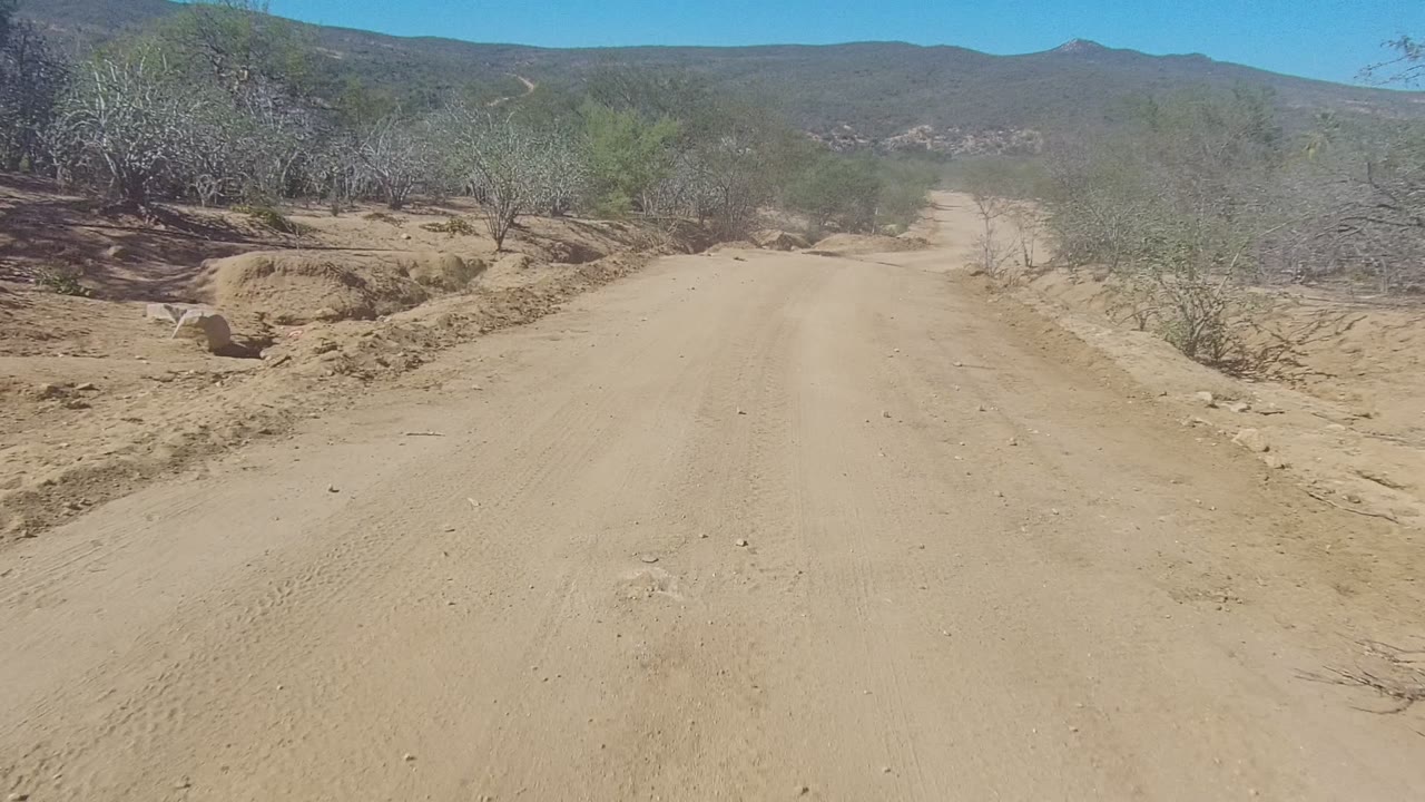 A broad sandy track in Los Cabos bends gently through low green scrub, with dry banks along the roadside, low mountains on the horizon, and no visible people.