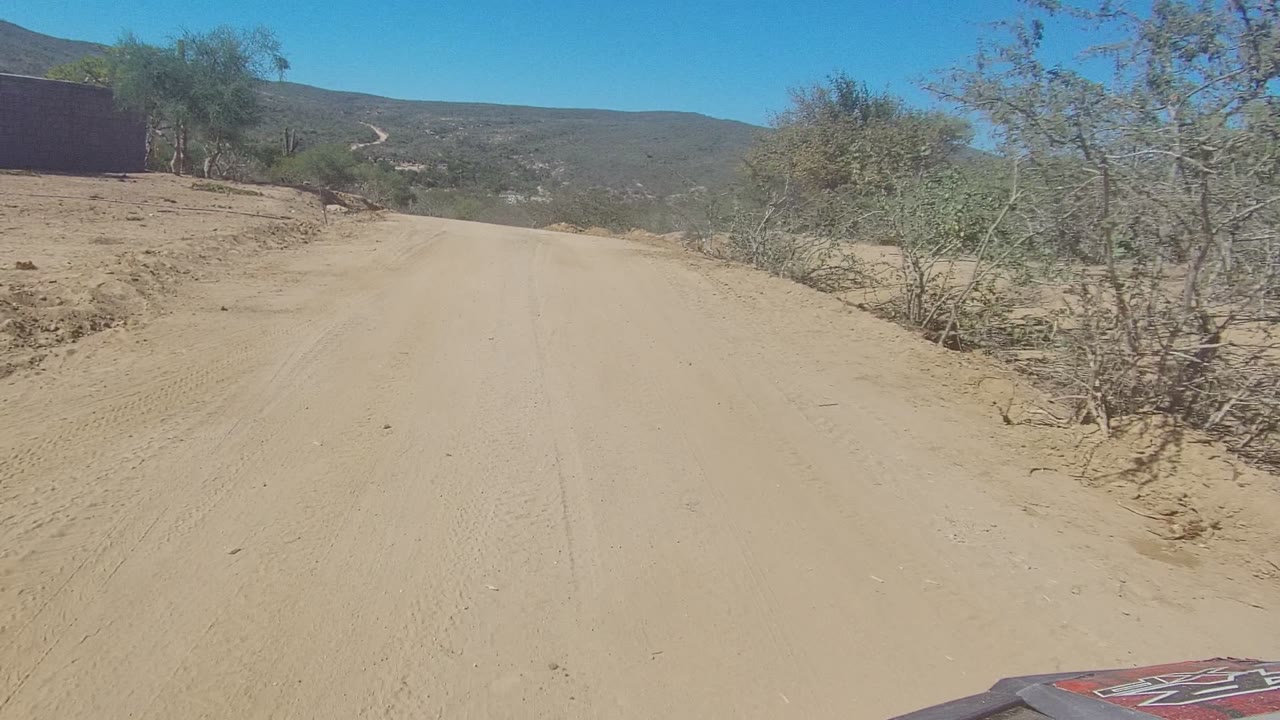 Dirt road curving past sparse trees and scrub toward distant hills.
