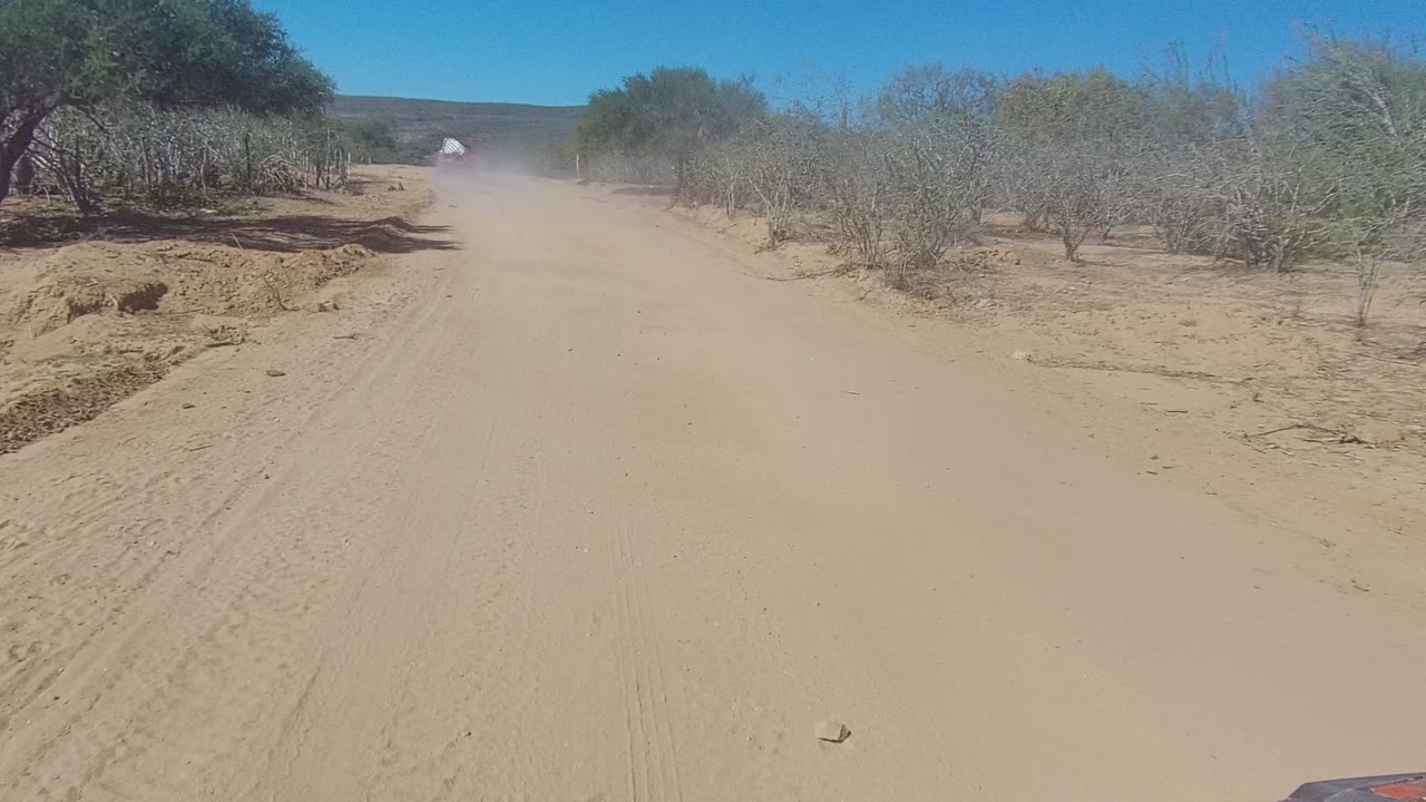 Start of a Los Cabos sandy desert road view with a distant dust cloud, dry shrubs lining both sides, blue sky overhead, and no visible people.