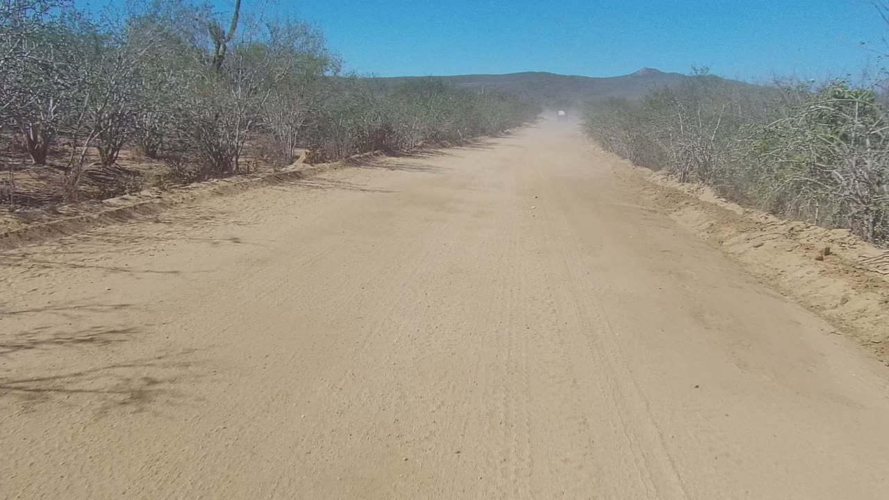 Sandy dirt road in Los Cabos, Baja California Sur, bordered by dry shrubs with a faint distant vehicle and dust plume under a clear blue sky, no visible people.