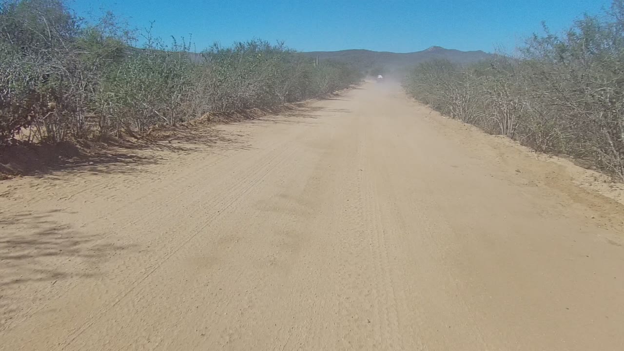 Straight sandy road between desert bushes.