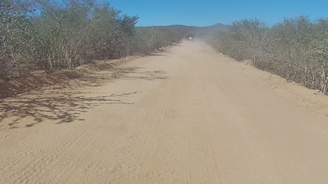 Dusty Los Cabos dirt road bordered by scrub vegetation, with branch shadows reaching across the sandy surface and a distant vehicle near the horizon, no visible people.