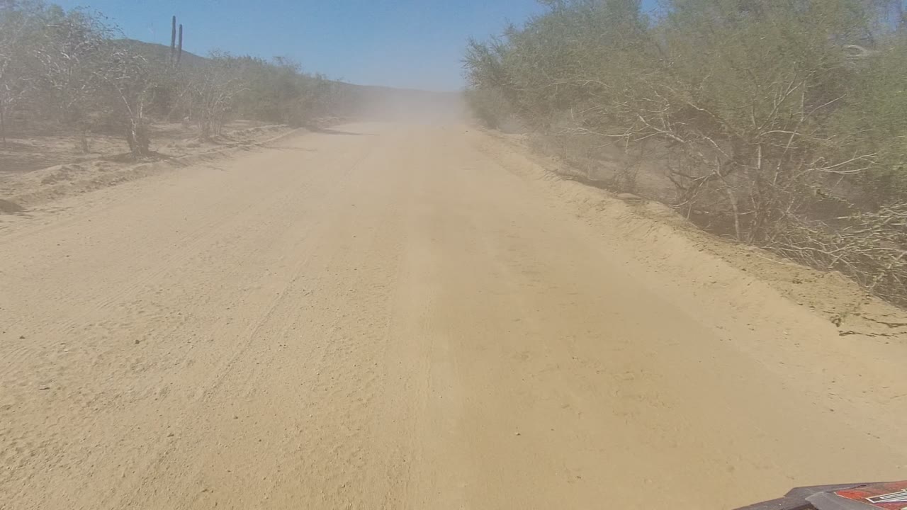 Sandy dirt road in Los Cabos, Baja California Sur, with scrubby bushes along both sides, pale dust in the distance, blue sky, and no visible people.