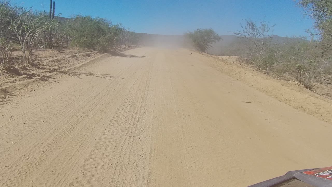 Dirt road passing close to dry bushes at the roadside.