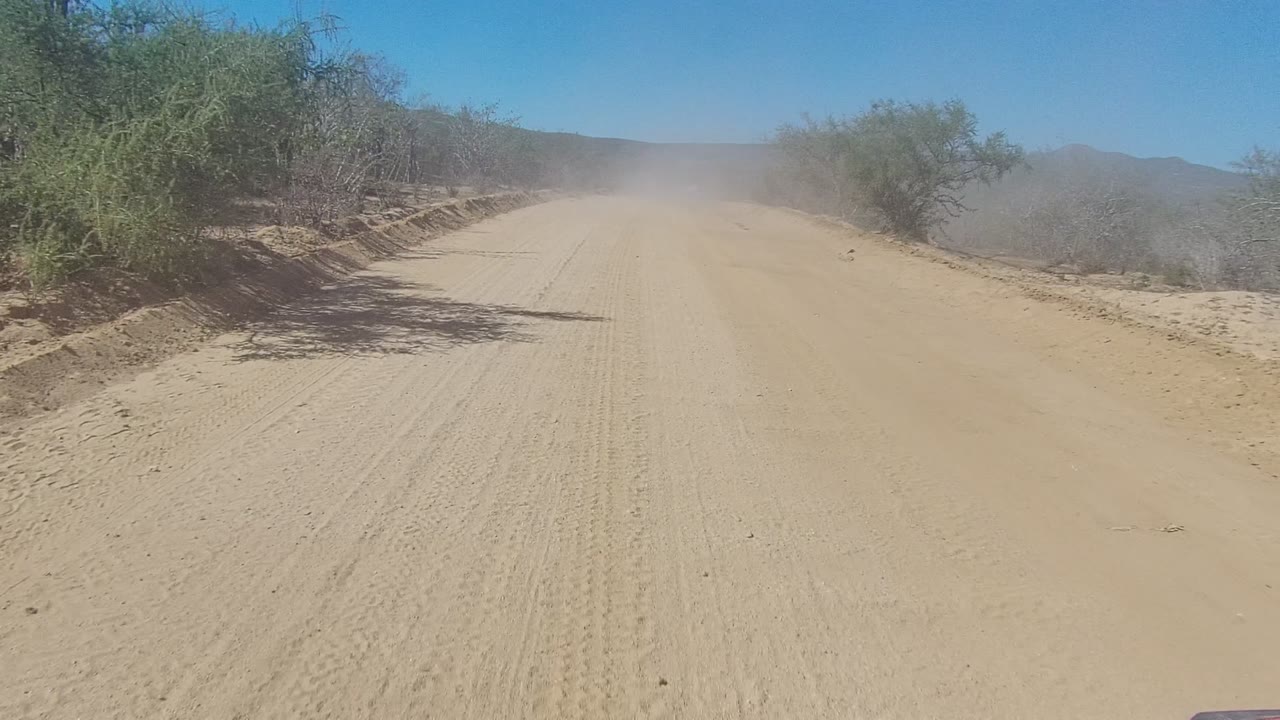 A wide sandy road in Los Cabos, Baja California Sur, bends slightly through sparse desert vegetation, with a bright blue sky, dusty distance, and no visible people.