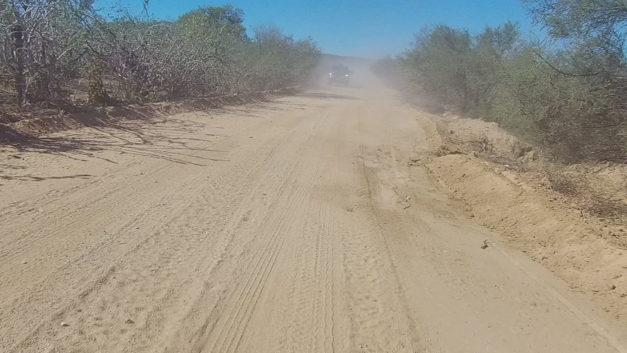 Dirt road seen through airborne dust and roadside brush.