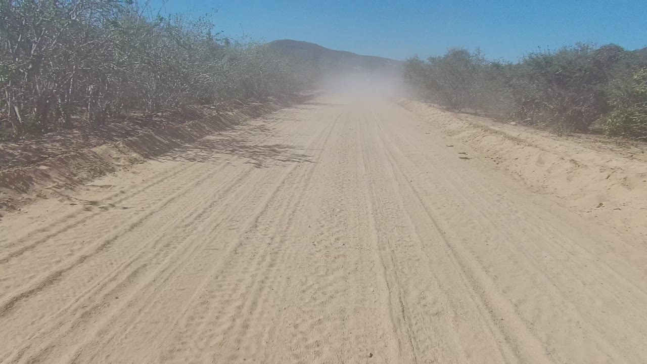 A sandy dirt road in Los Cabos, Baja California Sur stretches toward a dust cloud, with dry shrubs tight to both sides and no visible people.