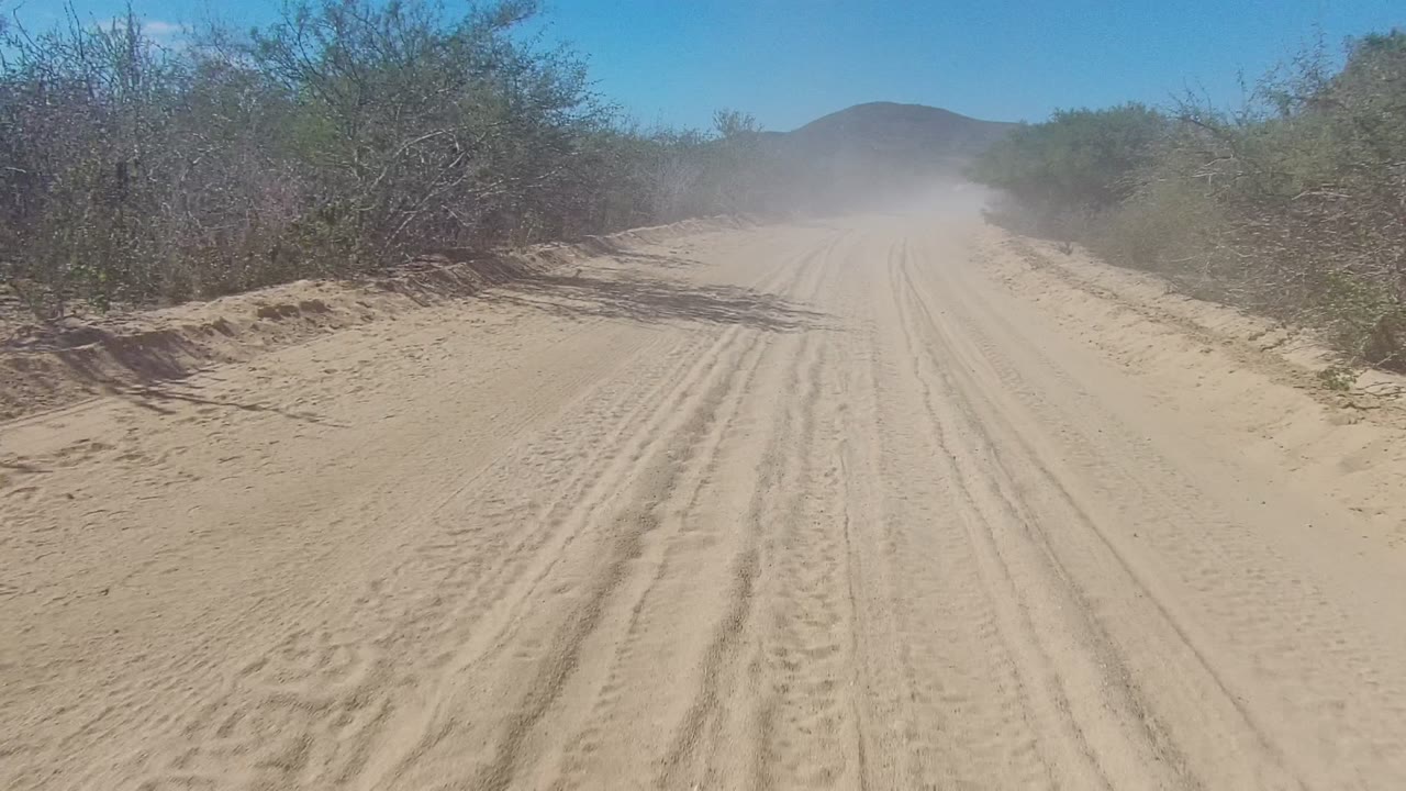 Dust cloud over a sandy road bordered by desert brush