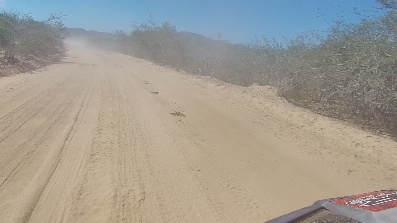 Dusty sandy road with bushes lining both sides
