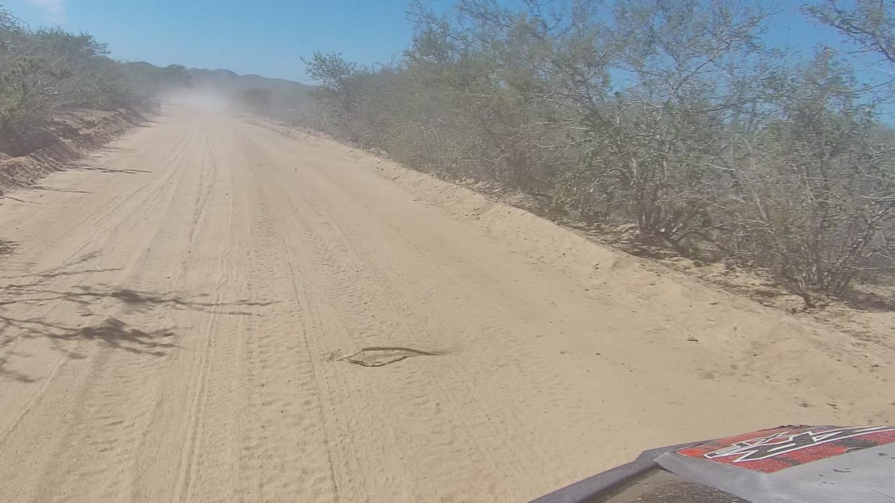 The vehicle-facing view looks down a straight sandy track in Los Cabos, Baja California Sur, framed by scrub bushes, bright blue sky, road shadows, and no visible people.