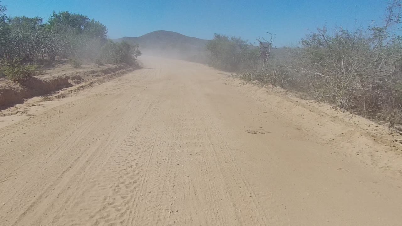 A wide sandy track in Los Cabos, Baja California Sur runs forward under bright blue sky, bordered by dry shrubs and a dust plume with no visible people.