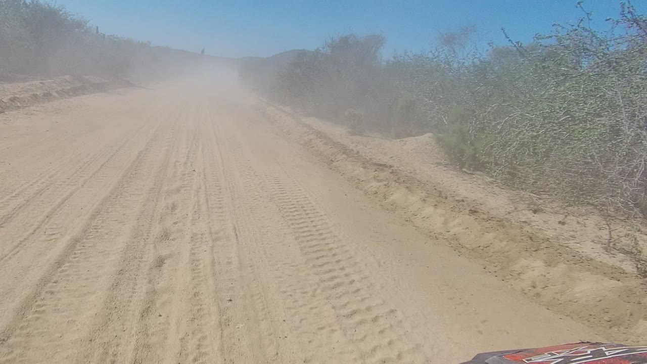 Sandy desert track bordered by brush with dust ahead.