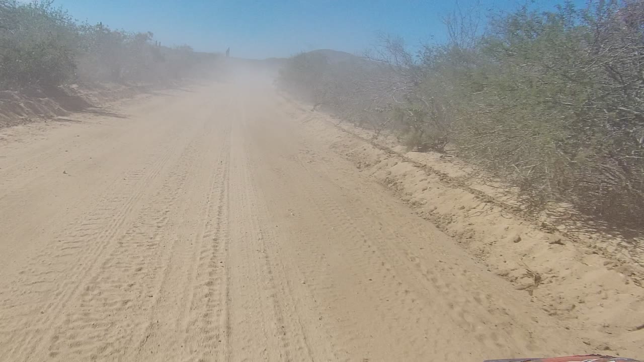 Mid-clip Los Cabos desert road frame with fine sand tracks, brush on both shoulders, a hazy dust plume across the road ahead, and no visible people.