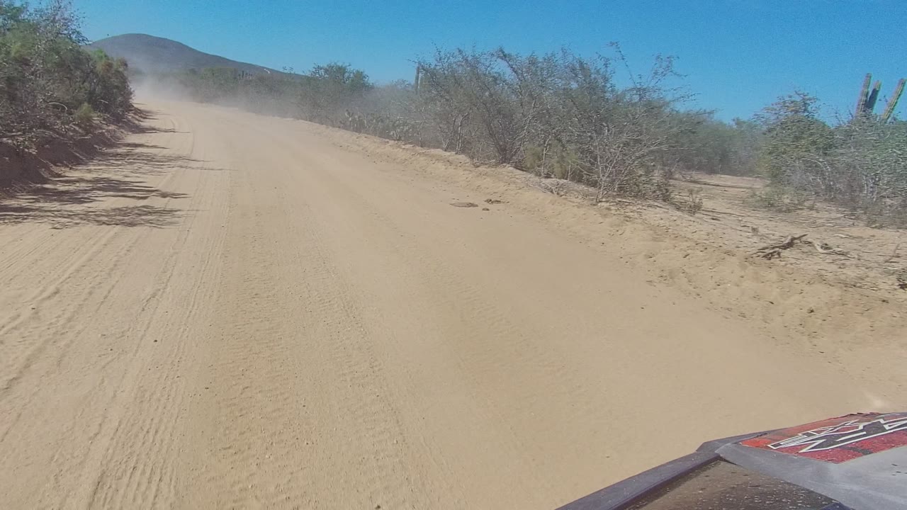 Dusty dirt road curving through desert shrubs under a clear sky.
