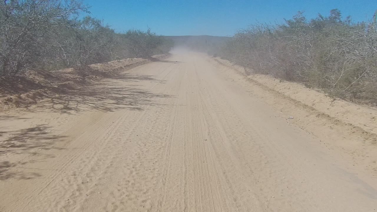 A sandy dirt road in Los Cabos, Baja California Sur runs between scrub bushes with tire tracks in the foreground, a dust cloud ahead, blue sky above, and no visible people.