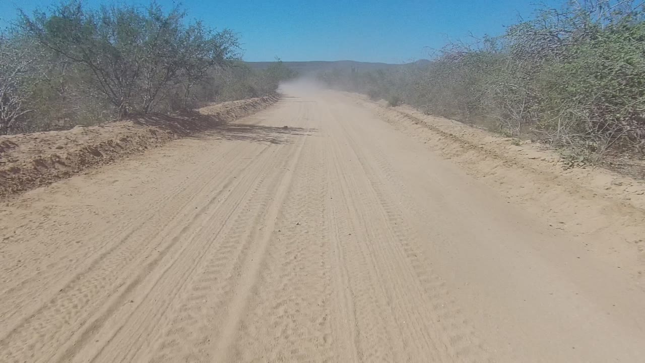 Dusty sandy road curving past desert shrubs